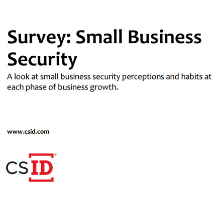 Survey: Small Business Security