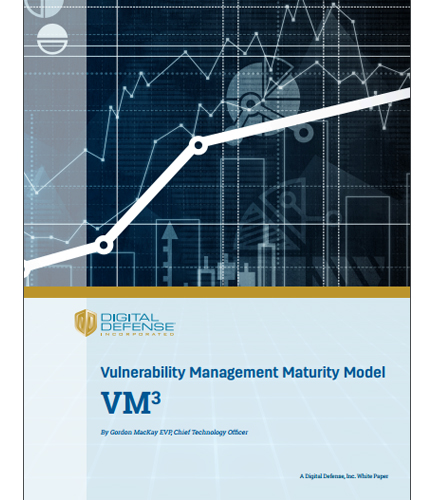 Vulnerability Management Maturity Level Control Security Risk Attacks and Data Breaches