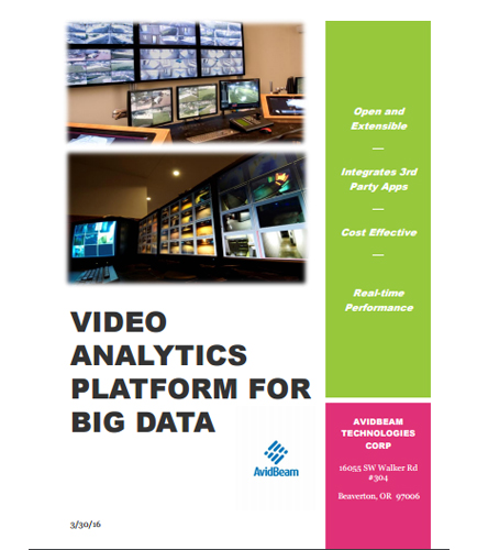 Video Analytics Platform for Big Data
