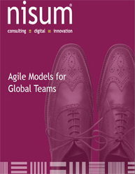 Agile Models for Global Teams