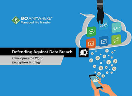 Defending Against Data Breach