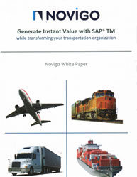 Generate Instant Value With SAP Transport Management System (SAP TMS)