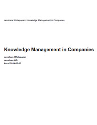 Knowledge Management in Companies