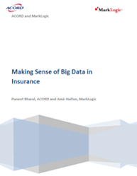 Making Sense of Big Data in Insurance