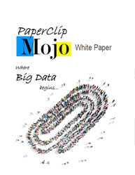 Big Data Technology White Paper