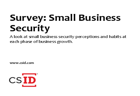 Survey: Small Business Security